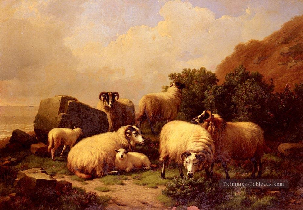 Moutons paissant par la Côte Eugène Verboeckhoven animal Peintures à l'huile